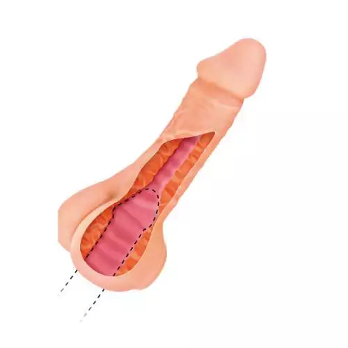 REAL BODY TWO IN ONE - Image 5