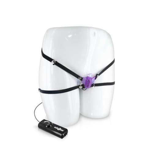 The crazy butterfly - Image 1