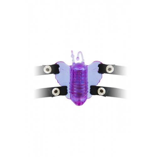 The crazy butterfly - Image 3