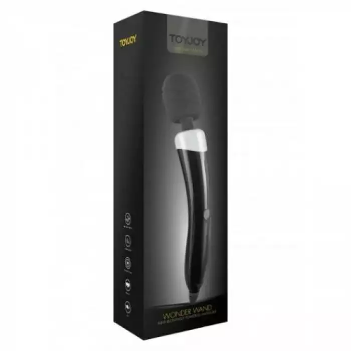 Wonder Wand Massager - Image 2