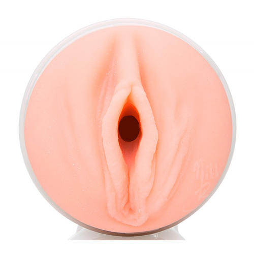 Nikki Benz fleshlight - Image 3