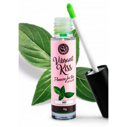 LIP GLOSS ΜΕΝΤΑΣ ΜΕ ΑΟΡΑΤΗ ΔΟΝΗΣΗ
