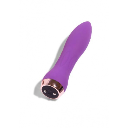 Silicone 60SX AMP Bullet PURPLE - Image 4