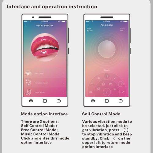 CLAMSHELL FANCY WITH APPLICATION PRETTY LOVE - Image 11